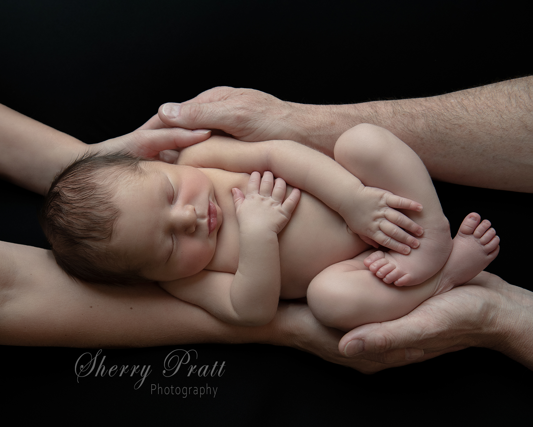 newborn baby in Columbia California, curled up and wrapped lovingly in his parents hands